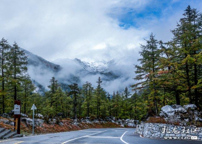 情绪异常、胸闷等如何影响健康?解读肝郁肿虚问题!