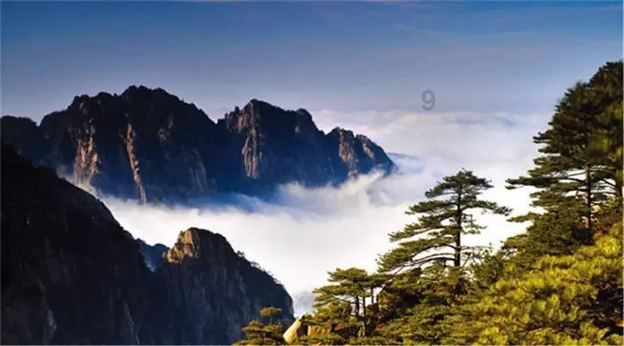华丽礼帽