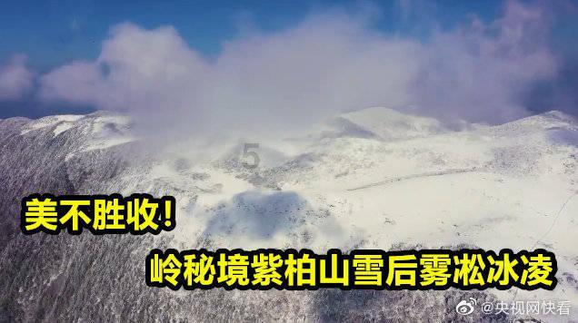 八届市政府第76次常务会议召开 不断优化营商环境激发市场主体活力