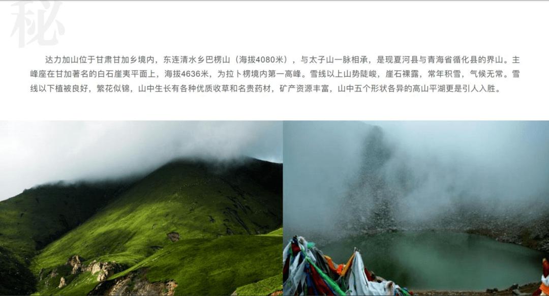 照顾小兔宝宝