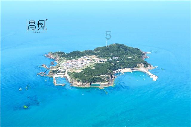 口袋森林世界杯传球大赛