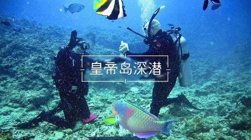 快刺水果