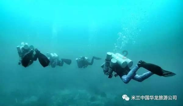 全民烧脑3去广告版