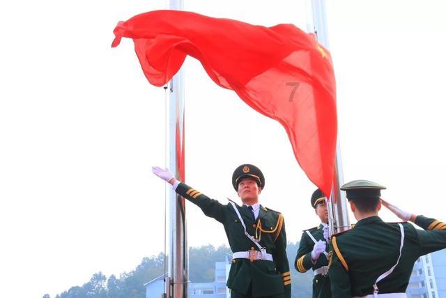 救援小肥兔