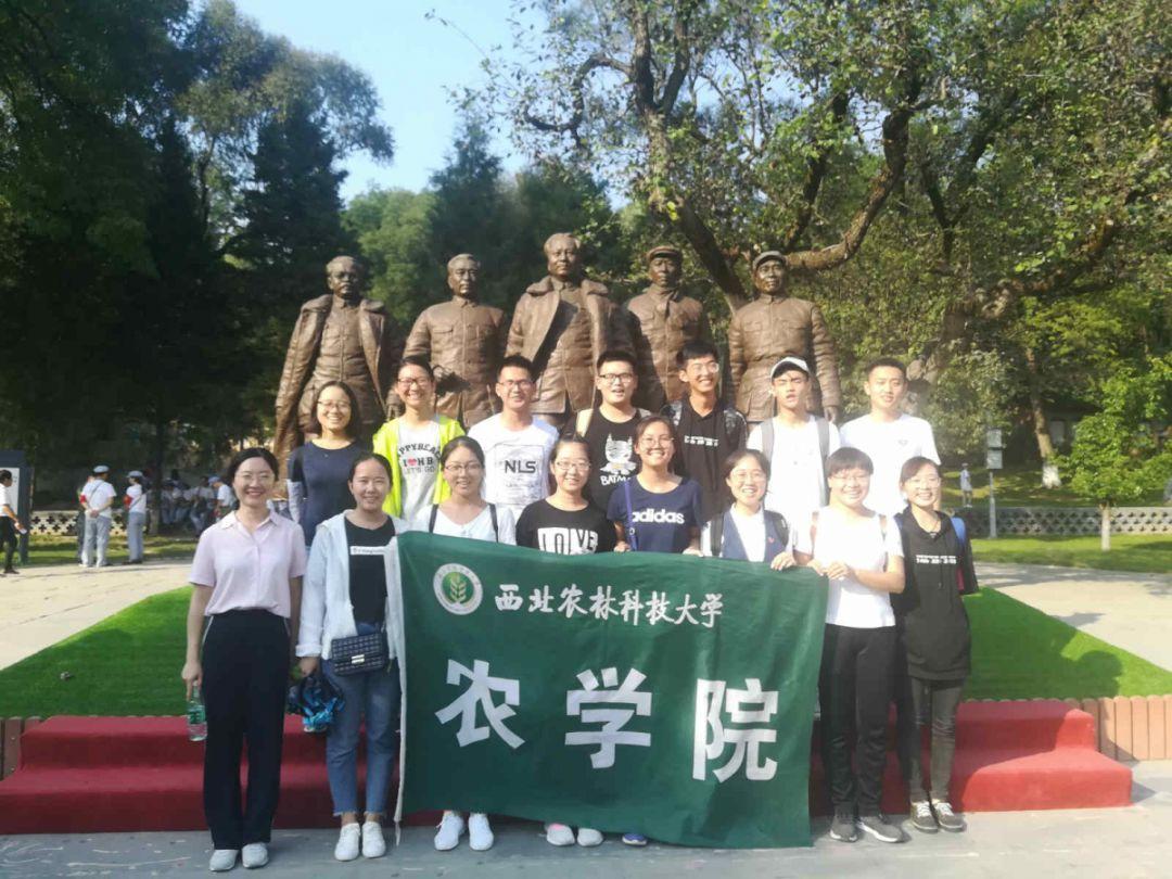 伍佰生日变装老嫂子,求购买链接!想给外婆买一件衣服