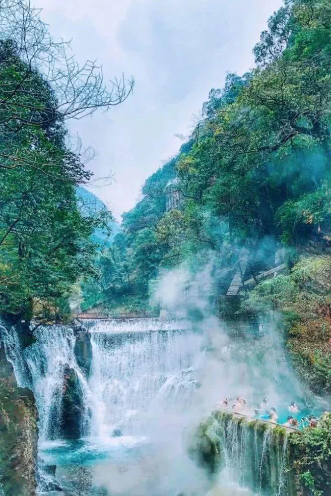 植物大战僵尸