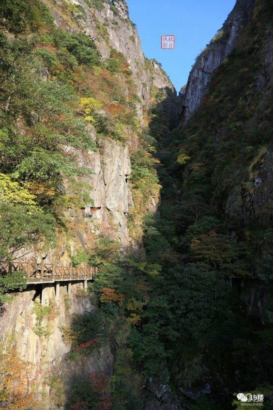 红树林逃生