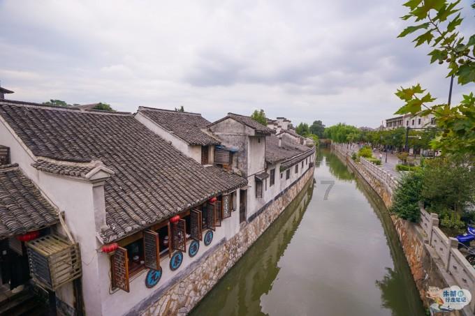 饥饿的松鼠救援