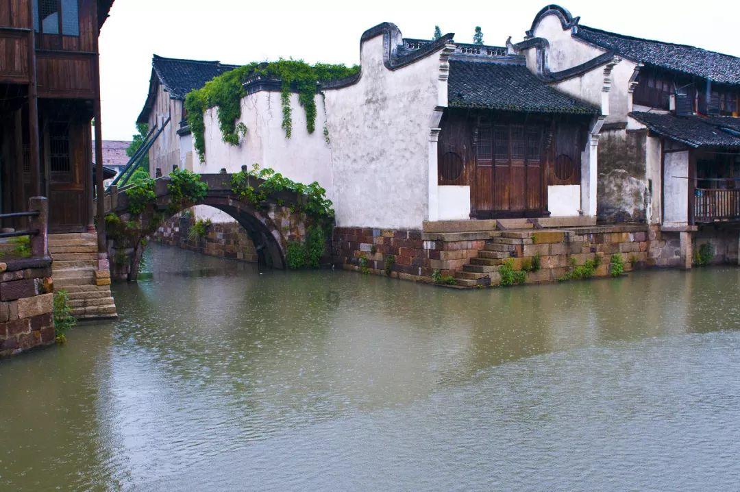 绿意盎然