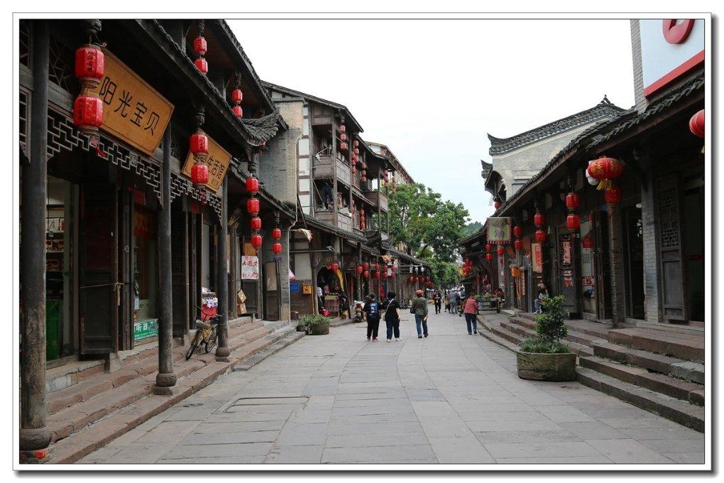 动物帮帮忙保卫家园