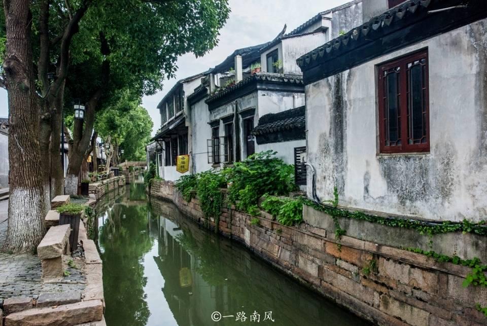 勿忘我